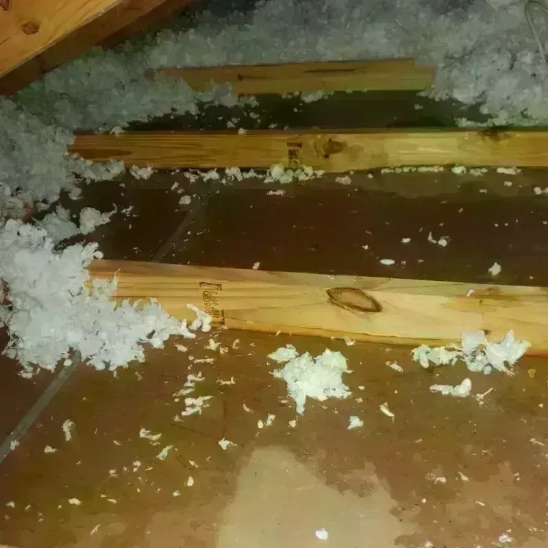 Attic Water Damage in Germantown, TN