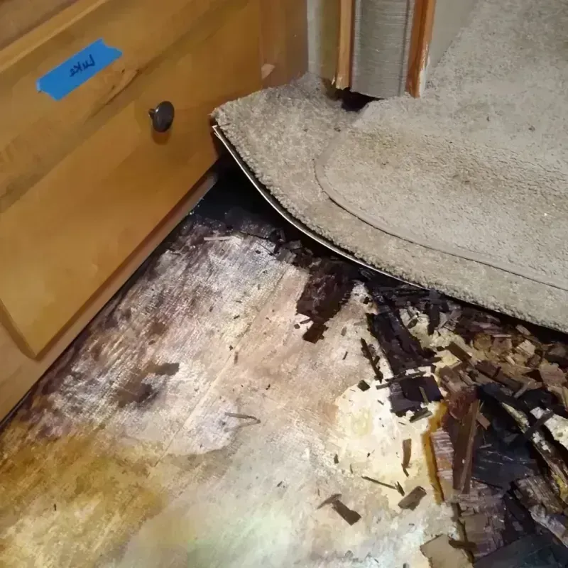 Best Wood Floor Water Damage Service in Germantown, TN